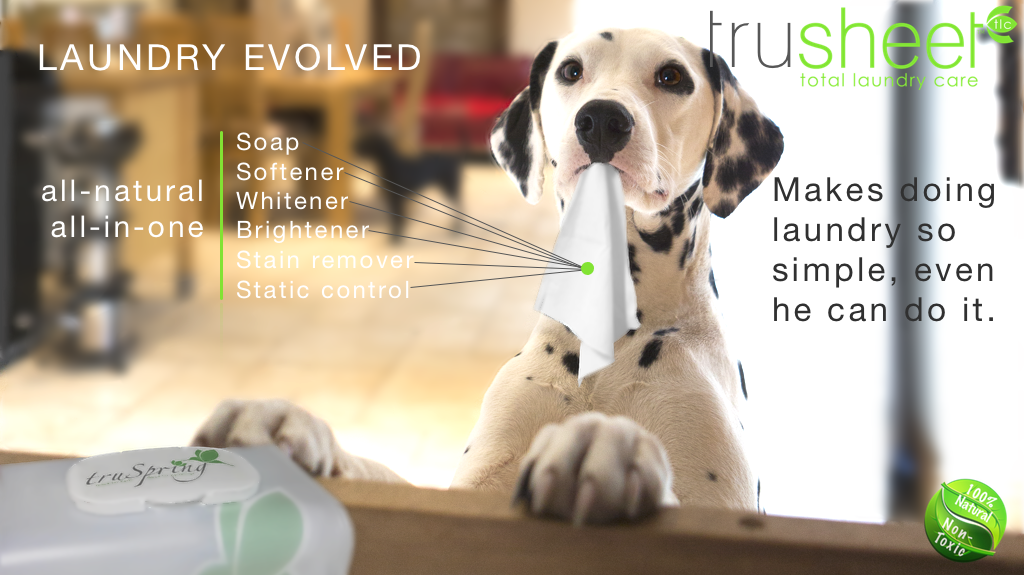 Dalmation with sheet.png