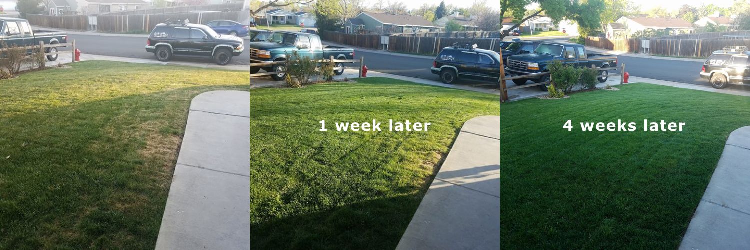 Colorado exiGrow customer experience.png