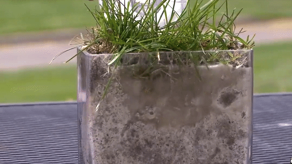 exiGrow demo 4.gif
