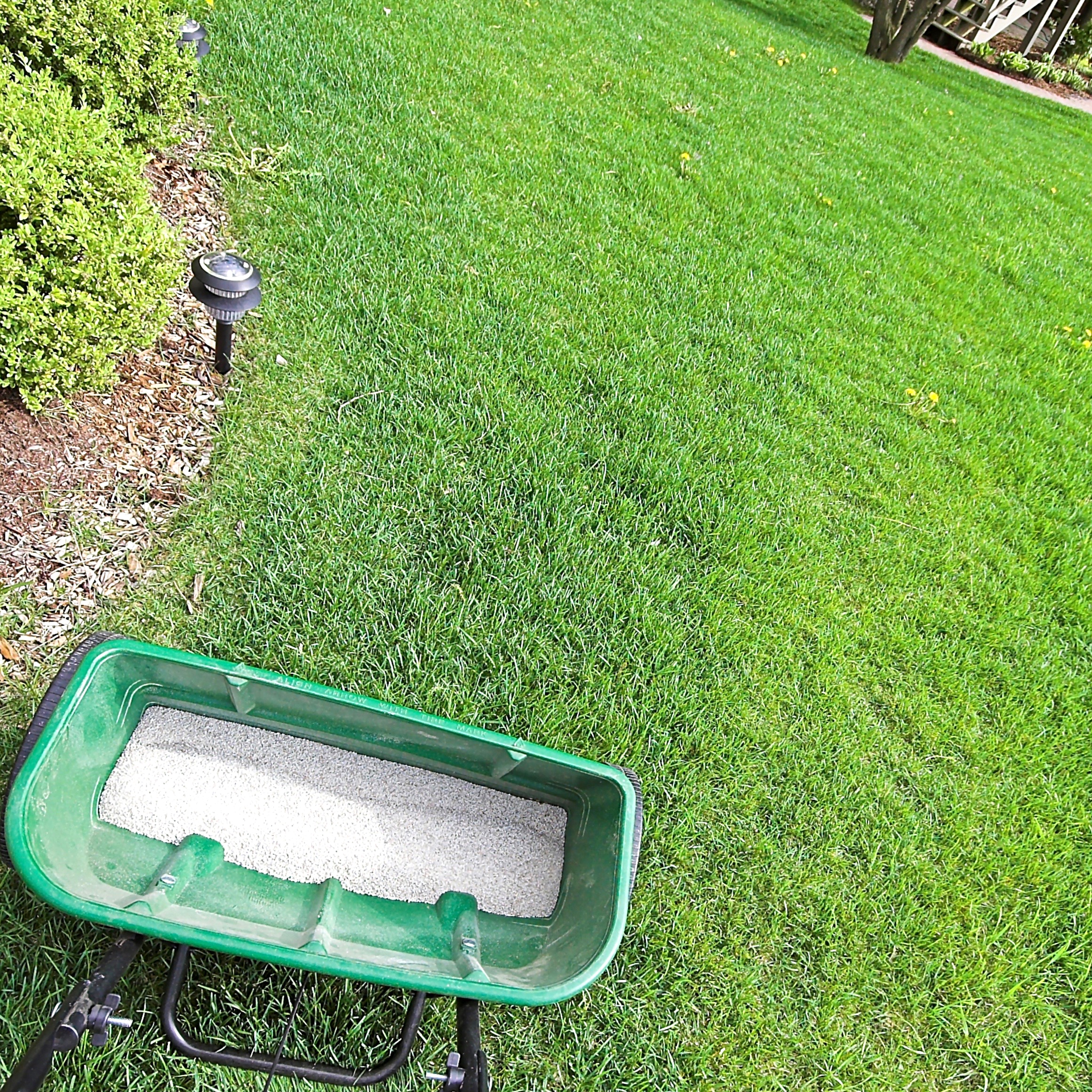 truSpring lawn care fertilize.jpeg