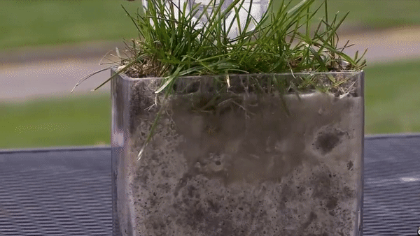 exiGrow breaks up hardened mineral salts blocking your soil and optimizes soil pH