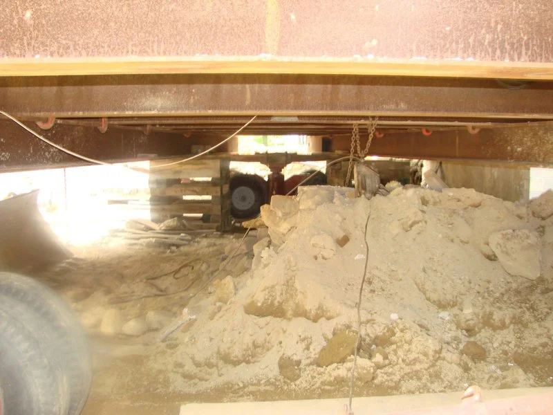 FOSTER 039.jpg
