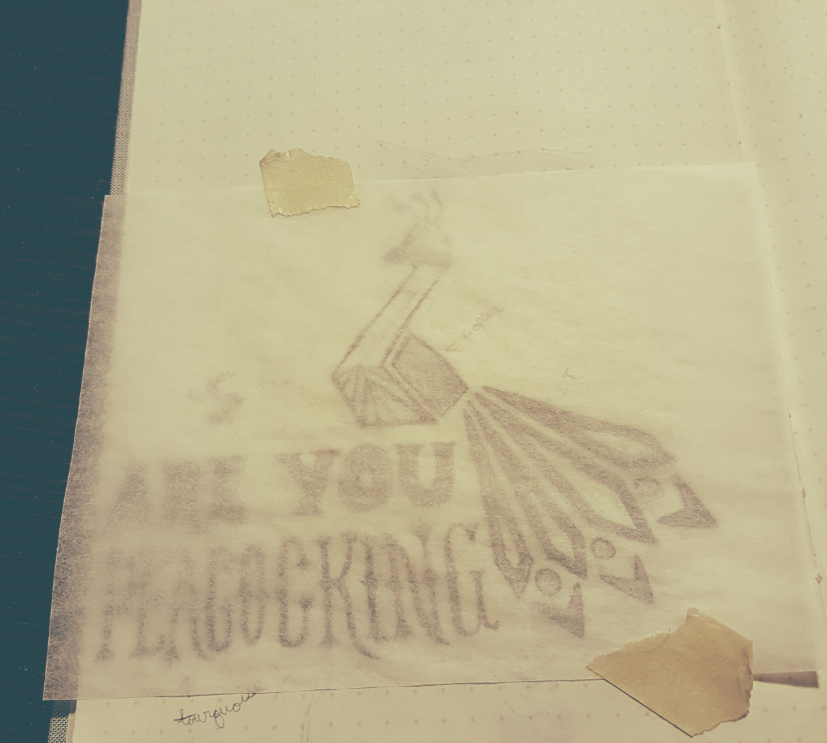 Transparency paper secured and ready for tracing.