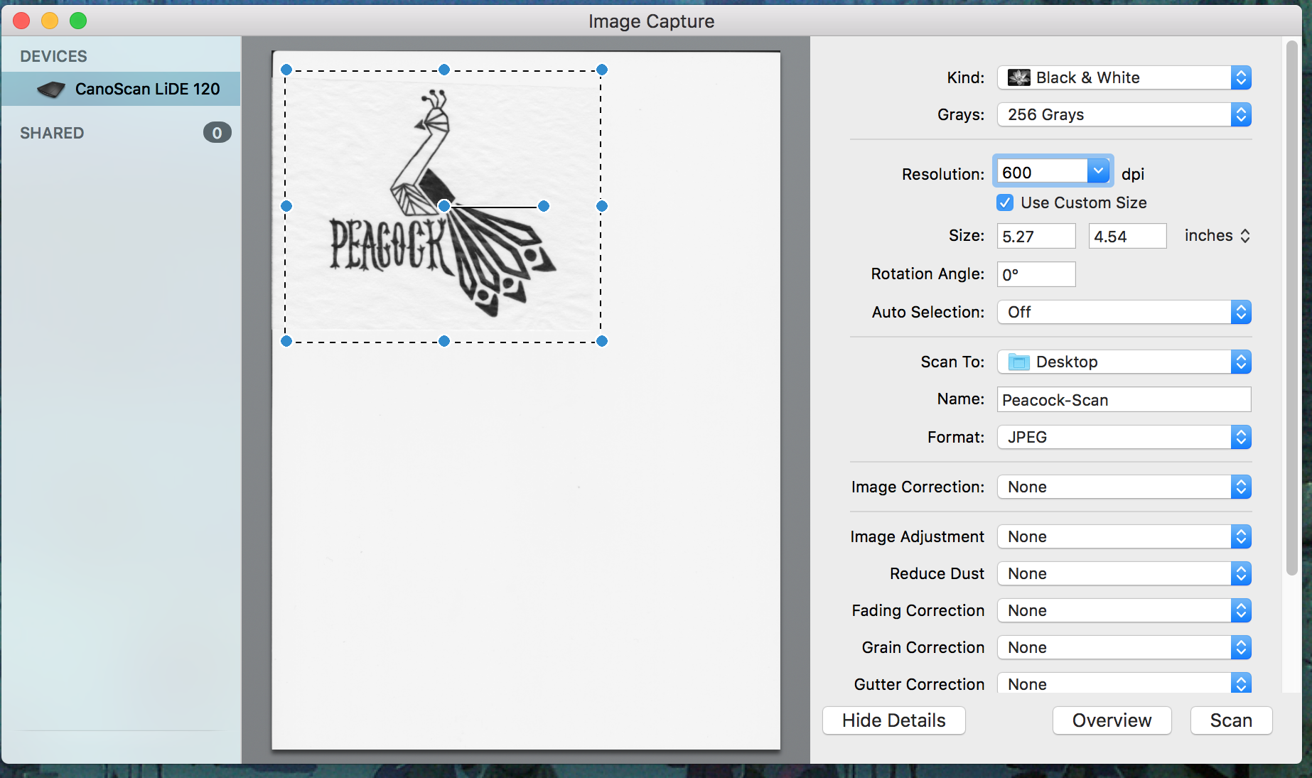 My scanner settings