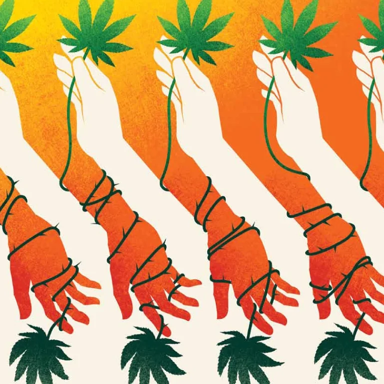 pot_spread-1.jpg