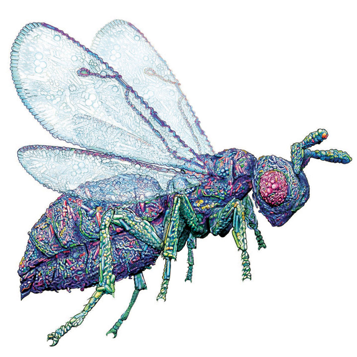 microbes_wasp.jpg