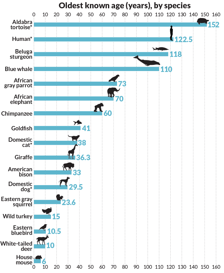 072316_scivis_graph.png