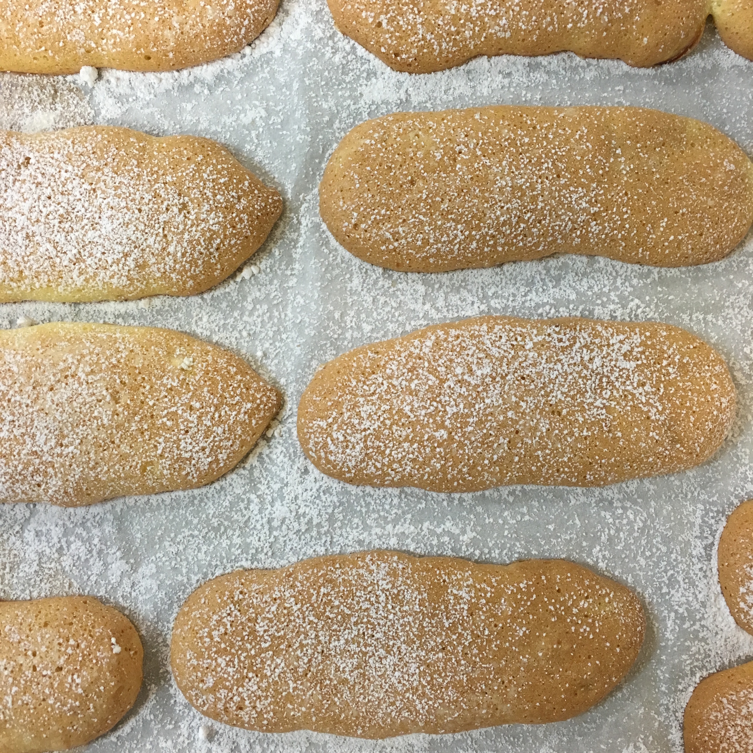THESE LADYFINGERS CAME OUT GREAT. WE COMBINED ALL OF THEM FROM THE WHOLE CLASS TO MAKE TIRAMISU. BUT GET THIS, THE TIRAMISU WENT MISSING! WE LOOKED FOR IT THE NEXT CLASS BECAUSE IT TASTES BETTER AS IT SITS, BUT SOMEONE HAD STICKY FINGERS!