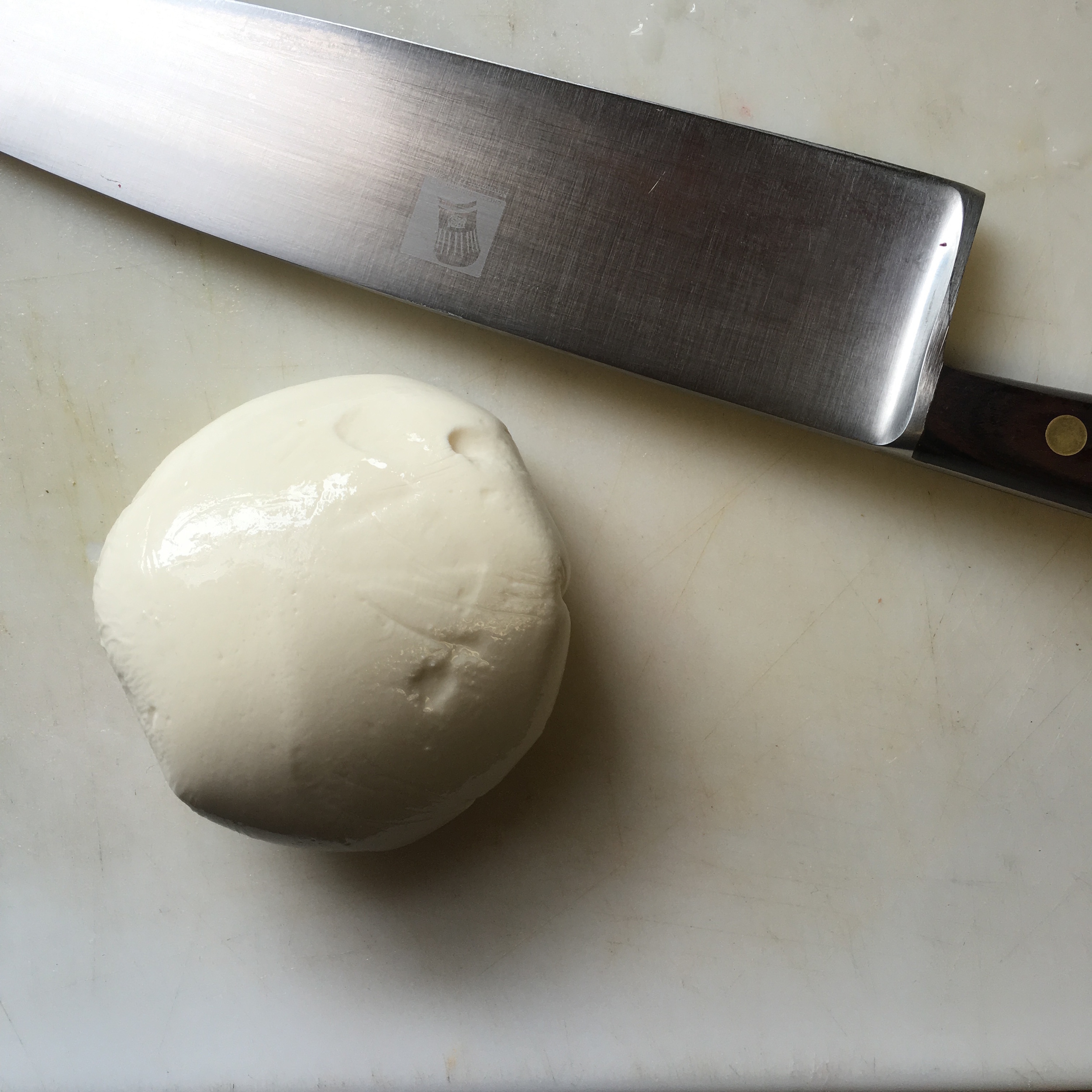 DEFINITELY NOT THE BEST MOZZARELLA I HAVE EVER HAD BUT I AM STILL PROUD OF IT!