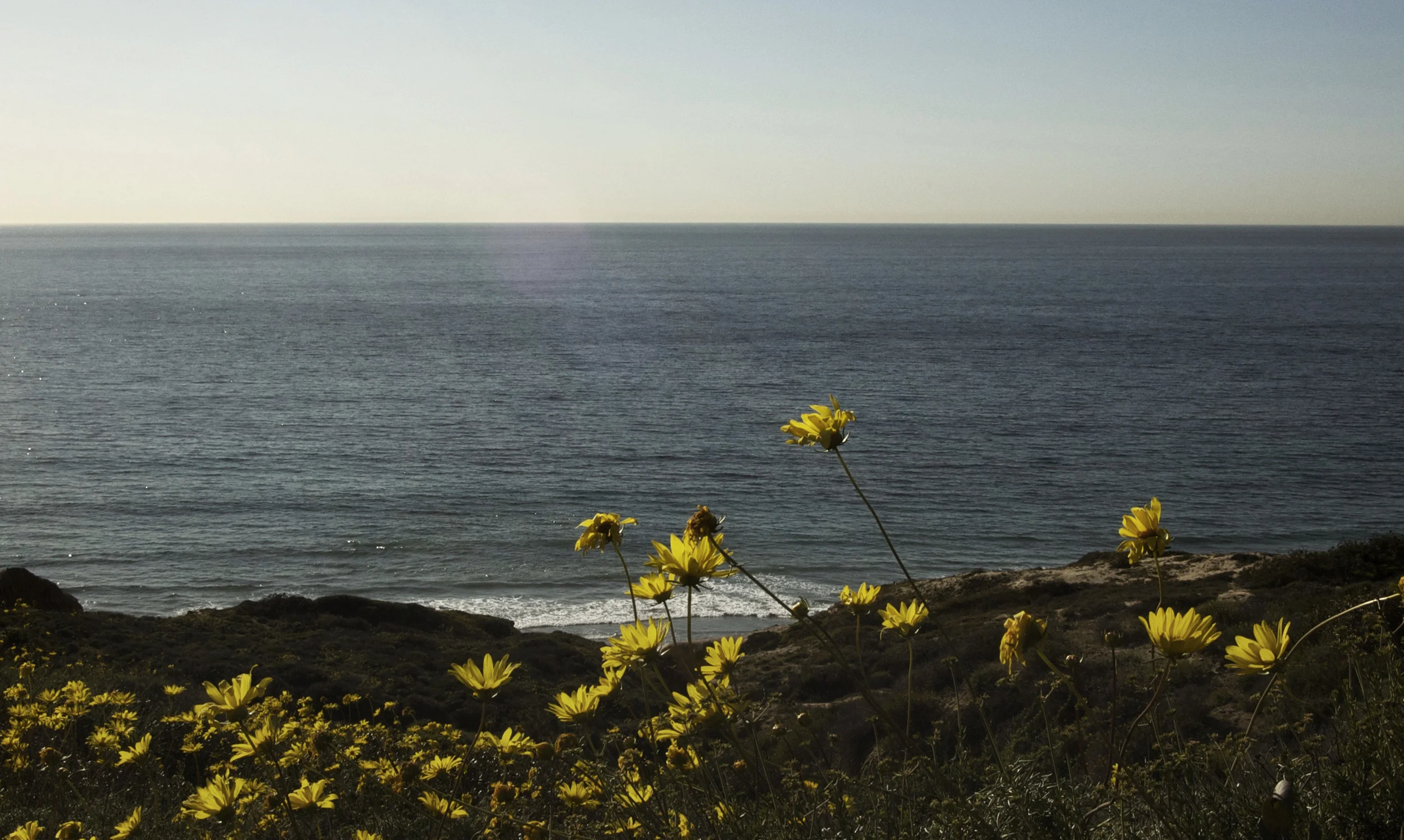 DSC_0212-cropped.jpg