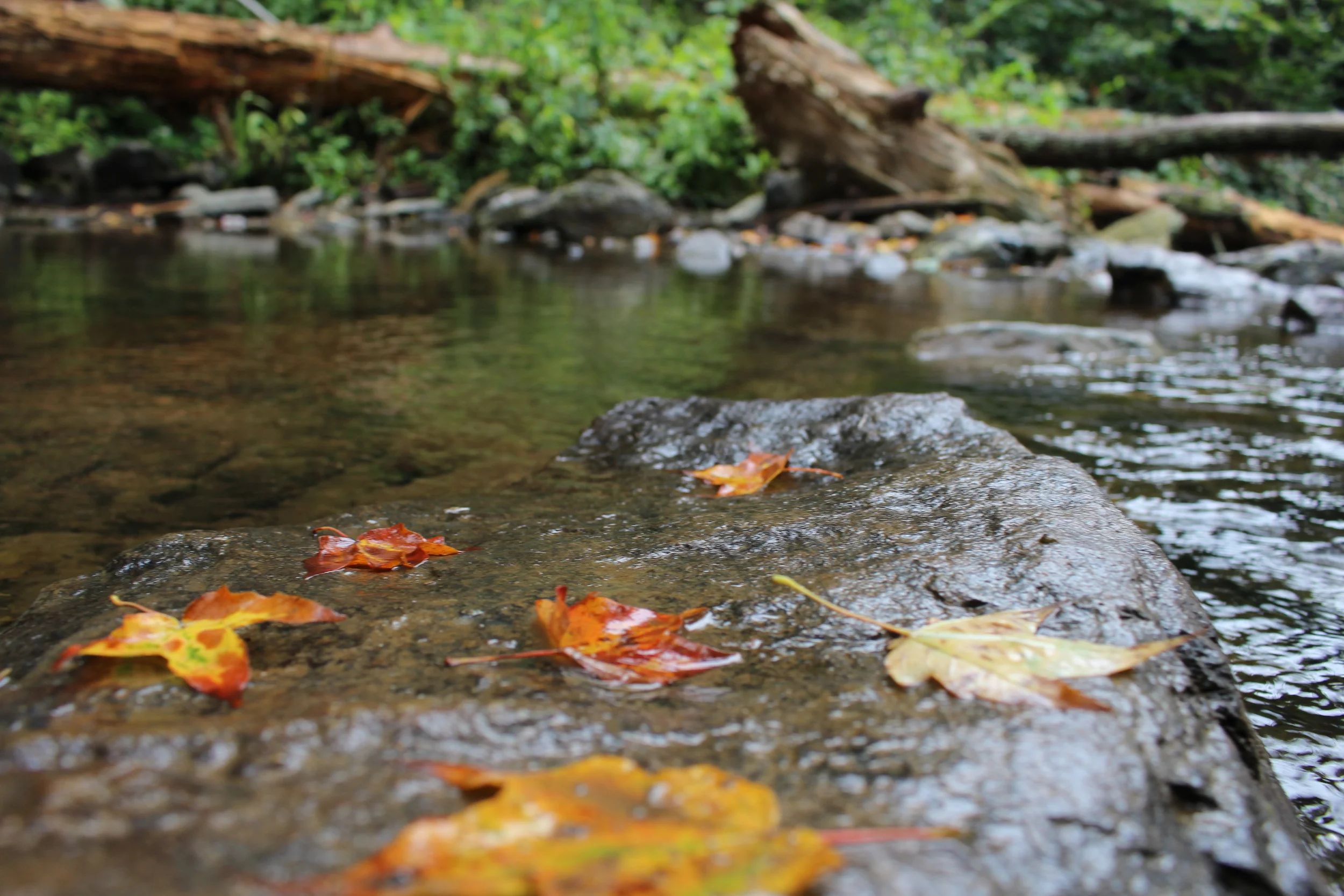 Our Work Today: Finding Joy at the Bottom