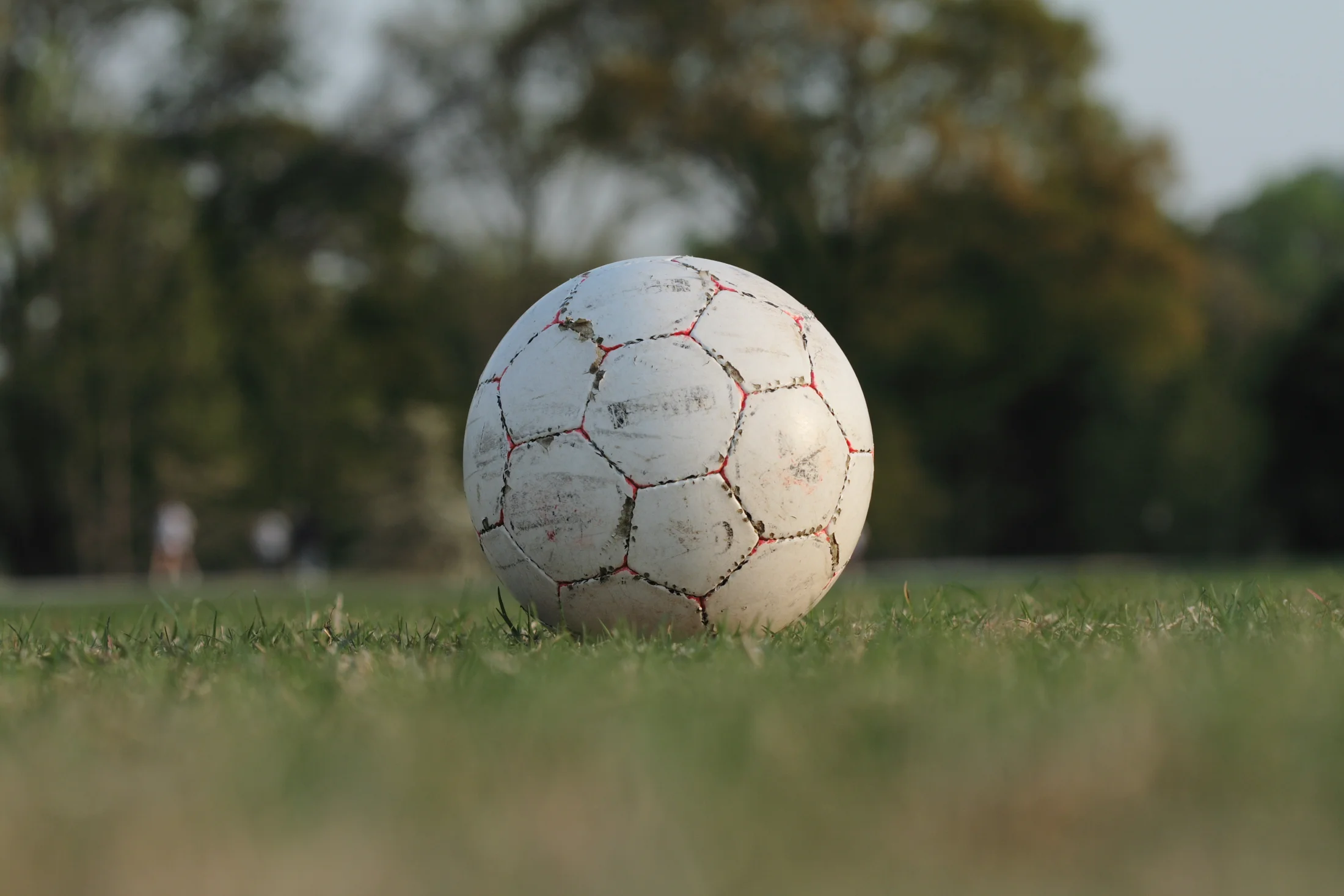 Abby Wambach, The Beautiful Game, & Liberatus