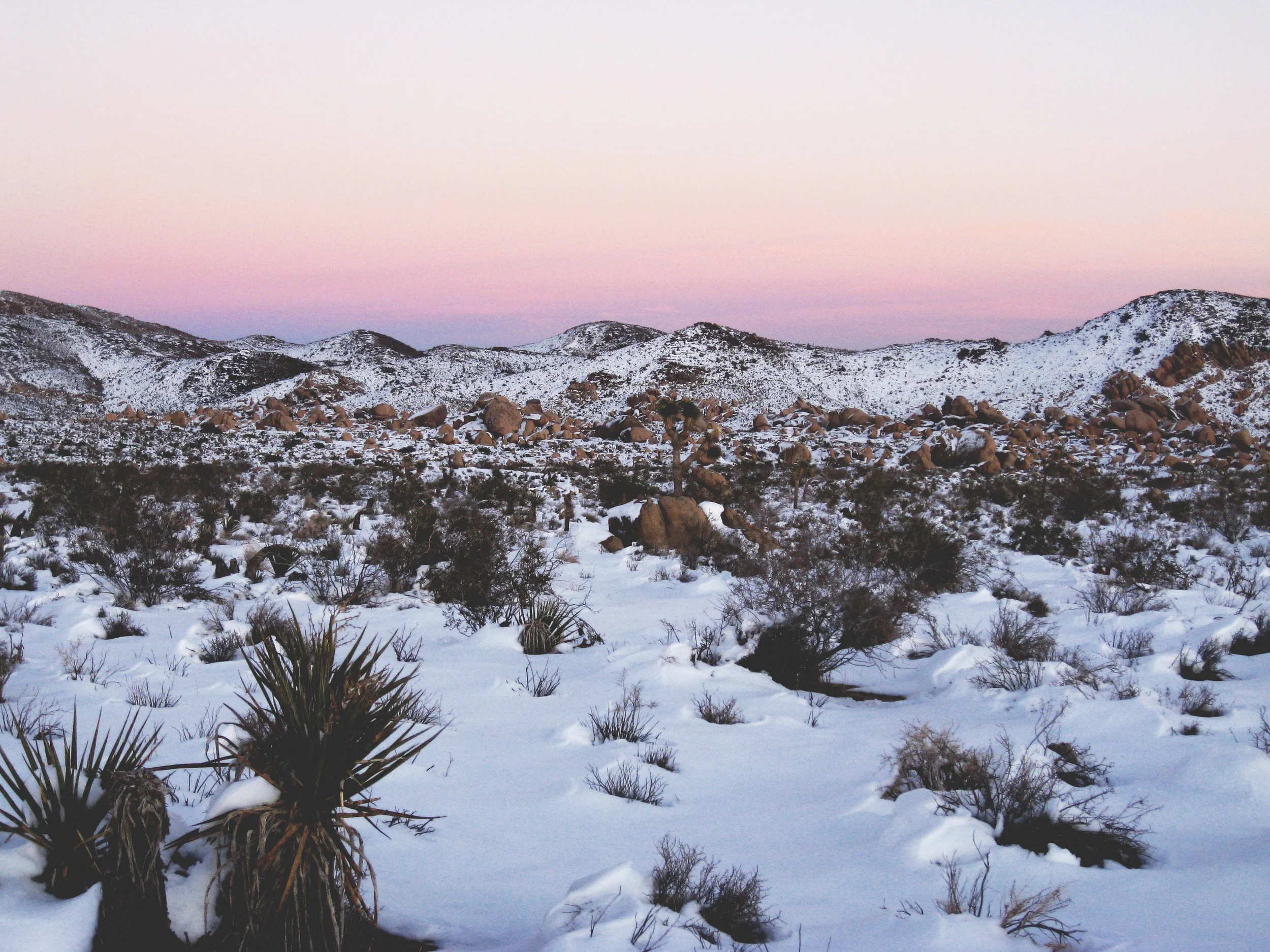 How The Desert Changed My Vision For Politics