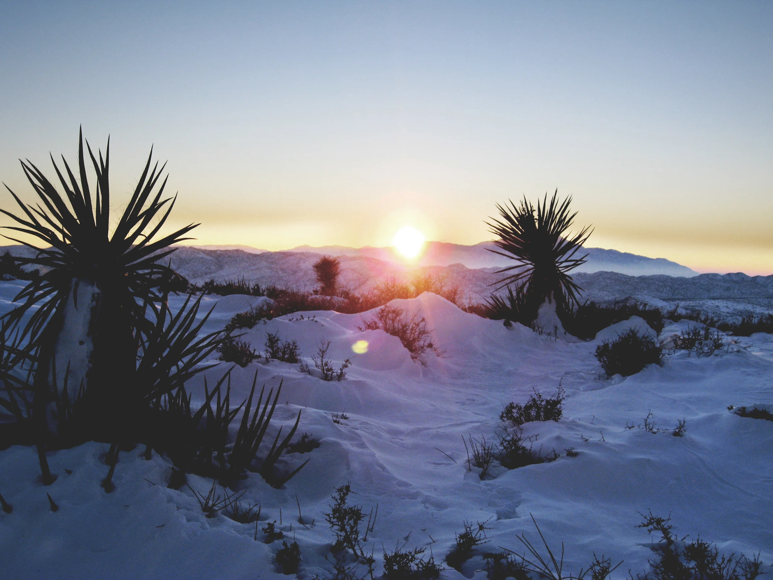 Hiking Joshua Tree National Park
