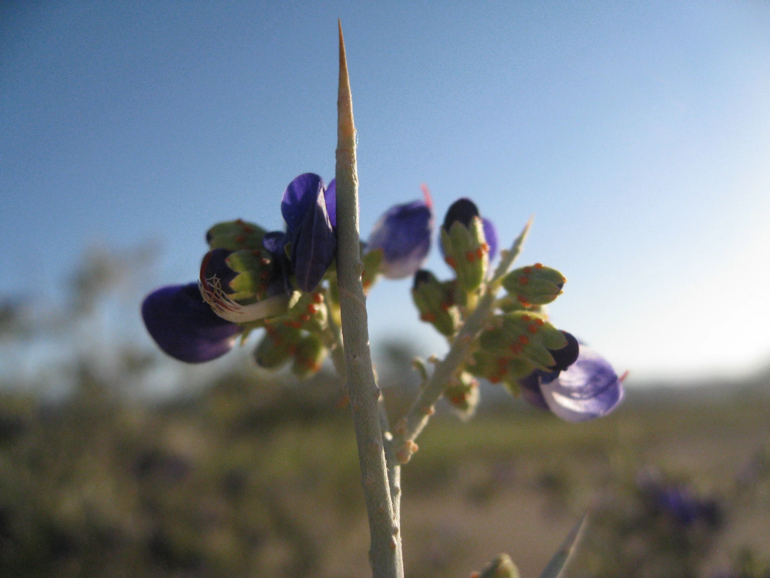 Apartheid | \ə-ˈpär-ˌtāt, -ˌtīt\ |​​ noun