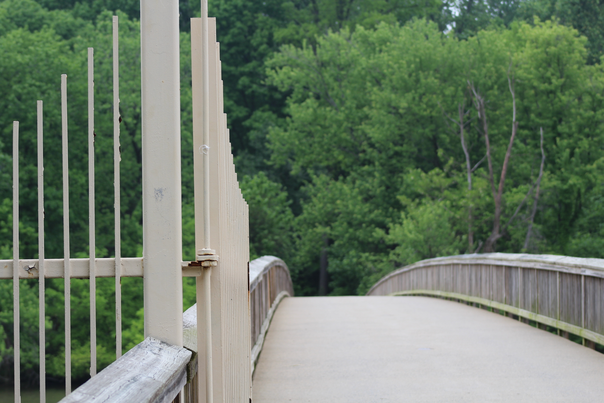 You'll have to find out for yourself what mysteriously lies beyond the gate on the other end of the bridge crossing over to Theodore Roosevelt Island. 