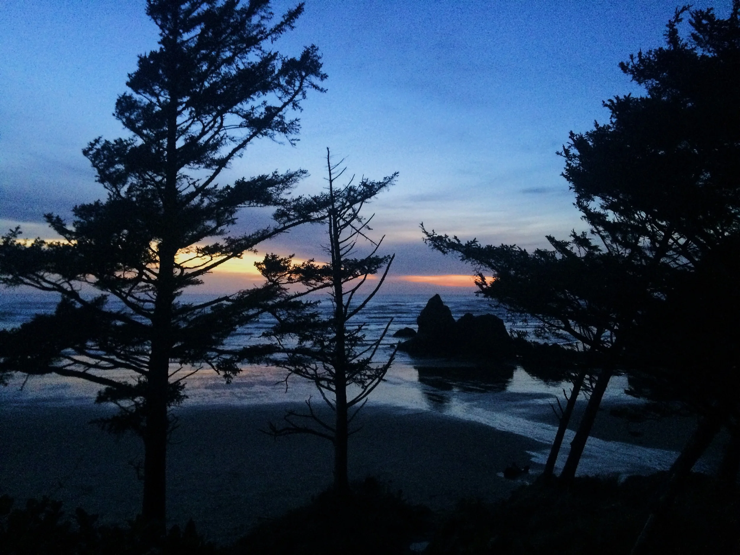 "Wilderness running free."