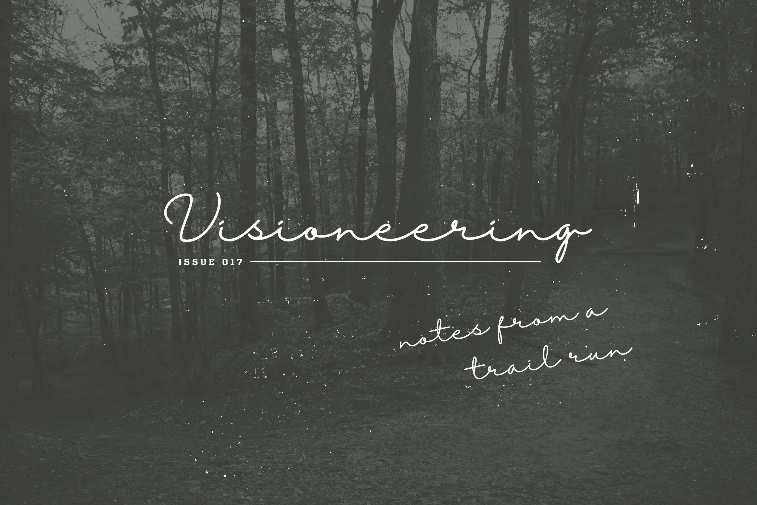 Issue 017: Visioneering—Notes from a Trail Run | As we compile a print journal on wholeness in politics, in this Visioneering journal series we will explore the problem in politics, the solution, and our creative challenge; how we can create a new category for political engagement; and how you can give peace a voice in Washington. Read the series preview.