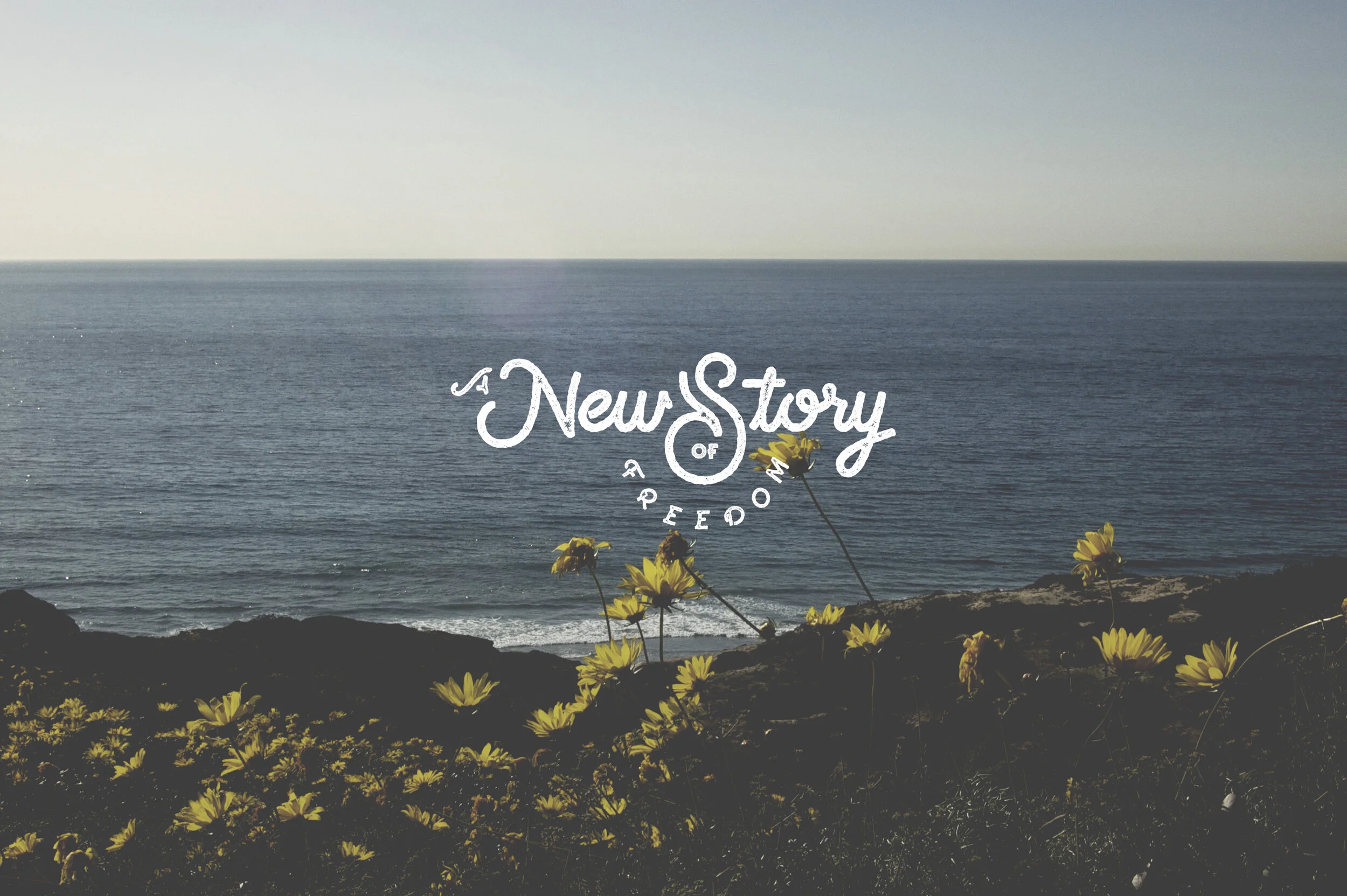 New Story of Freedom-TP.jpg