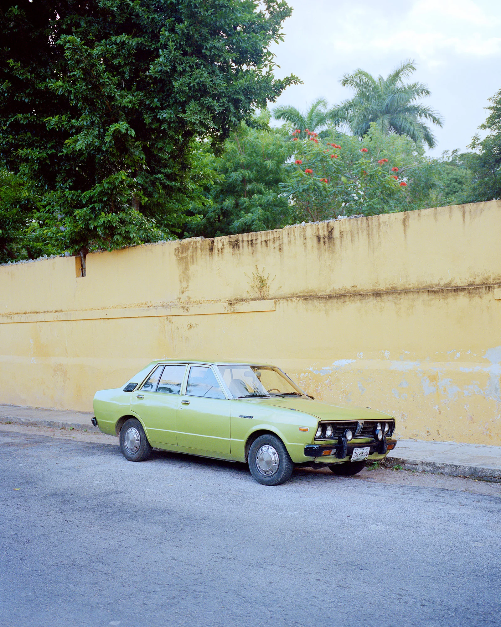 17_SQUIBB_GREENCAR_RG.jpg