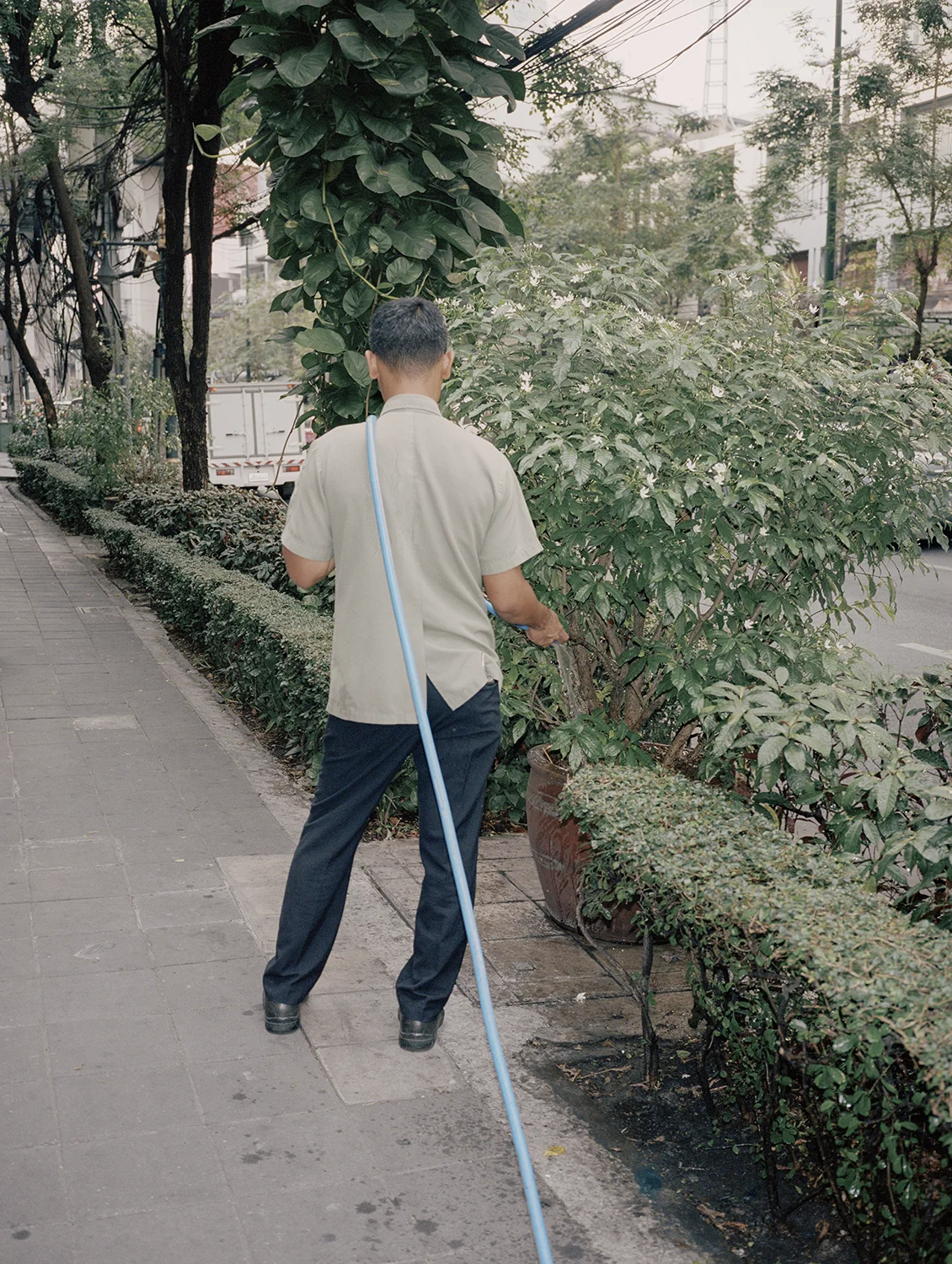 2017_THAILAND_Watering.jpg