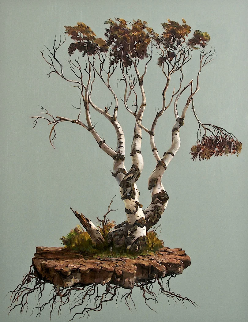 Coastal Tree.jpg