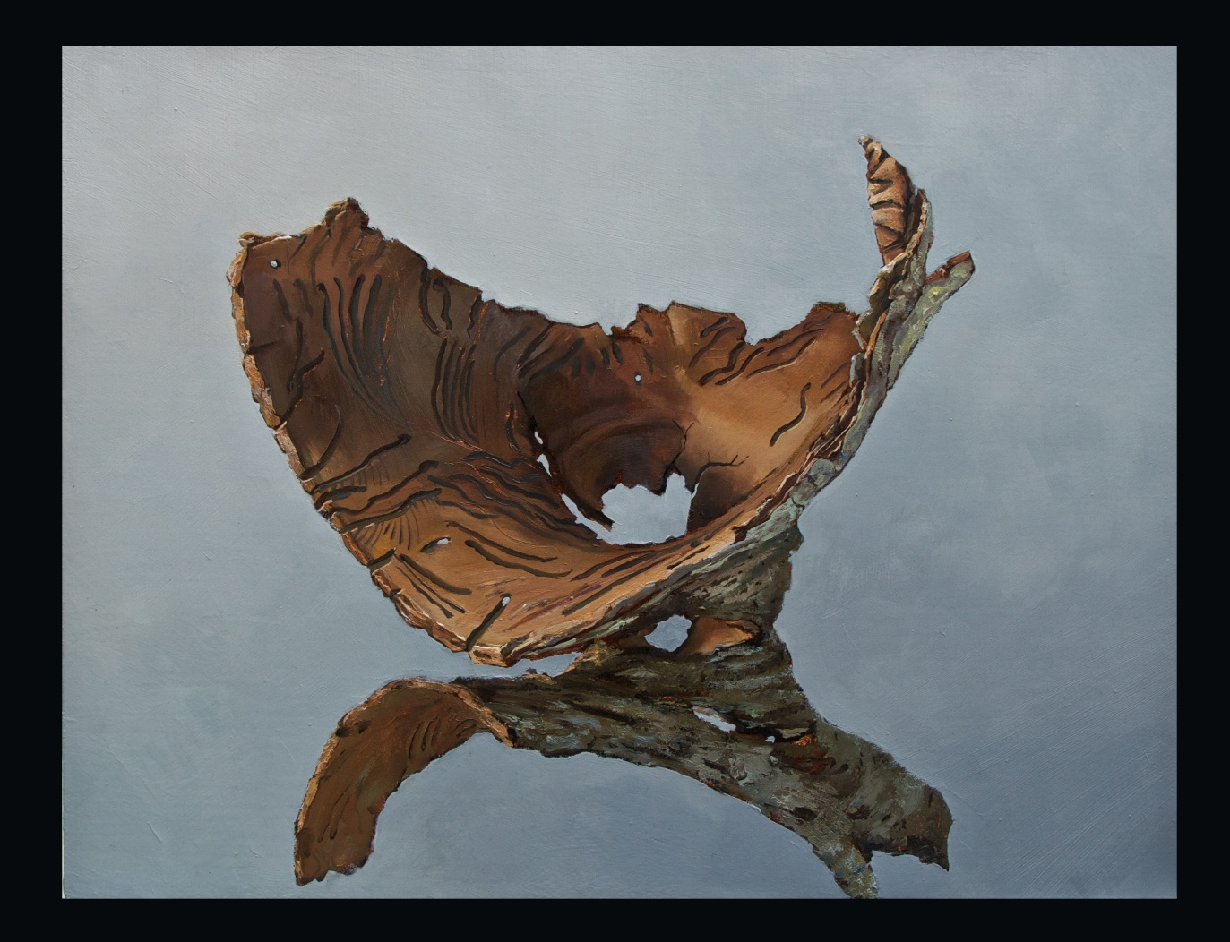 Elm Bark on Mirror Oil on panel 2017