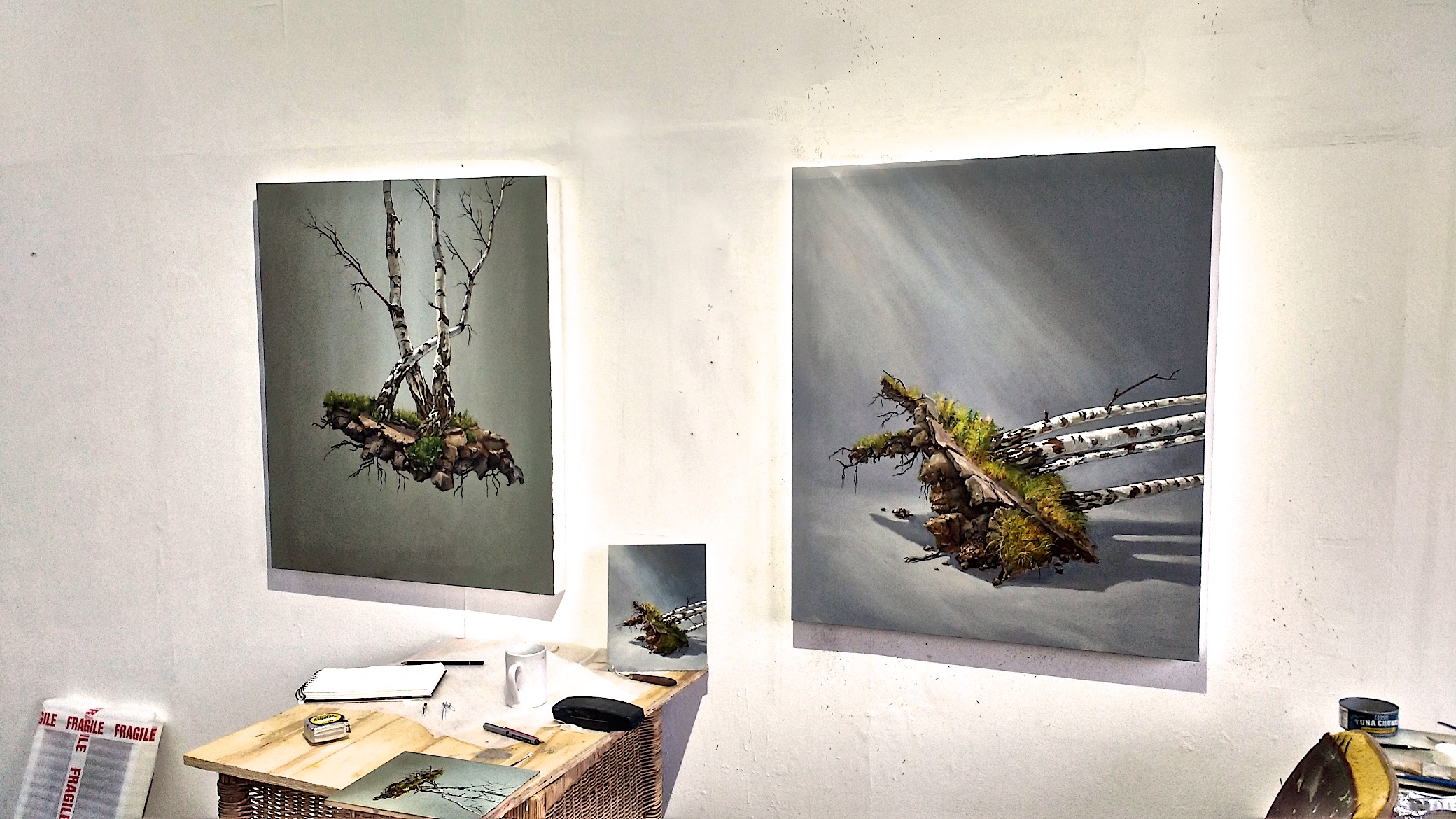 Studio June 2017 new works: Top lit Birches left and Fallen Tree.
