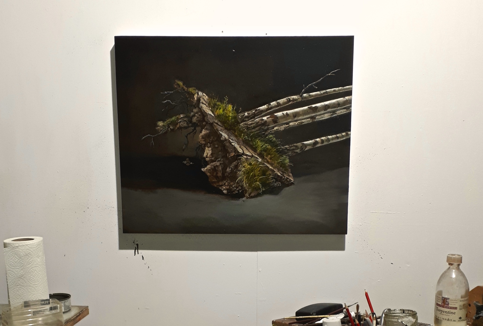 Studio Photo.jpg