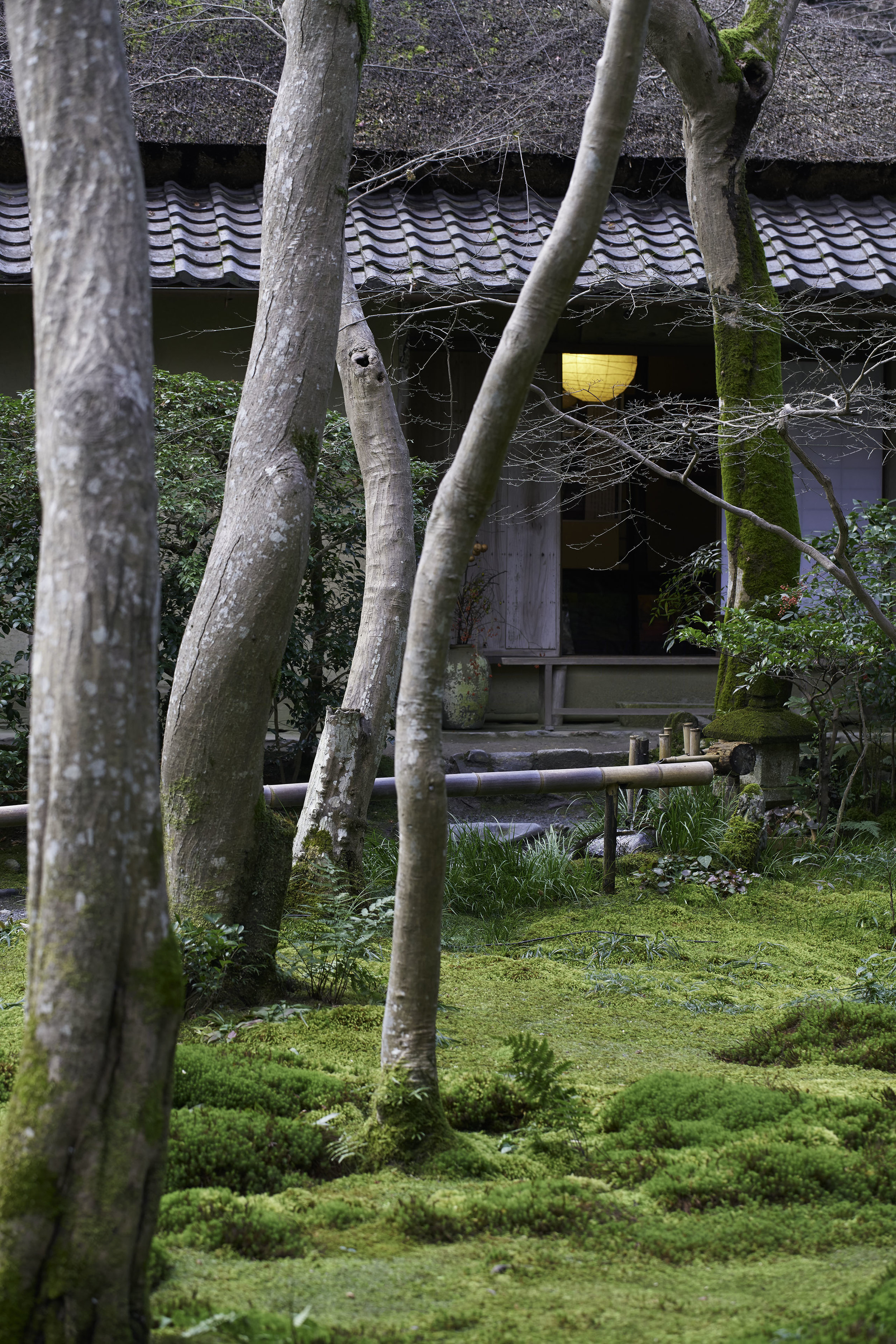 Arashiyama Dec 2015 - 15-12-24 - _DSC6644 by Adrien Le Falher.jpg