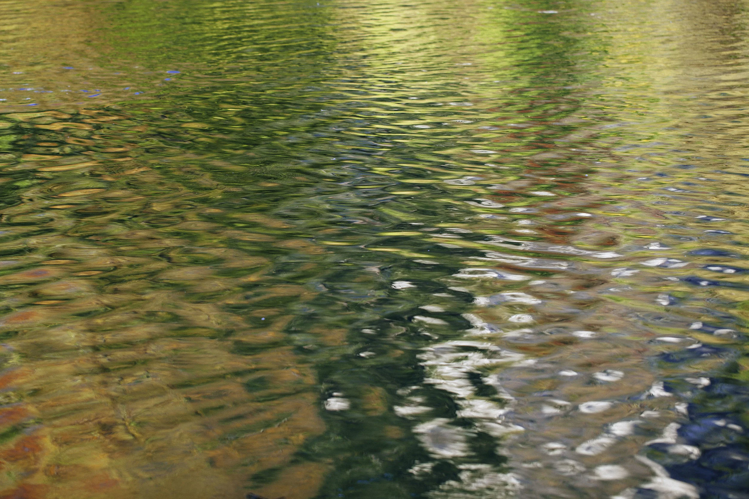 Document Name 40.jpg