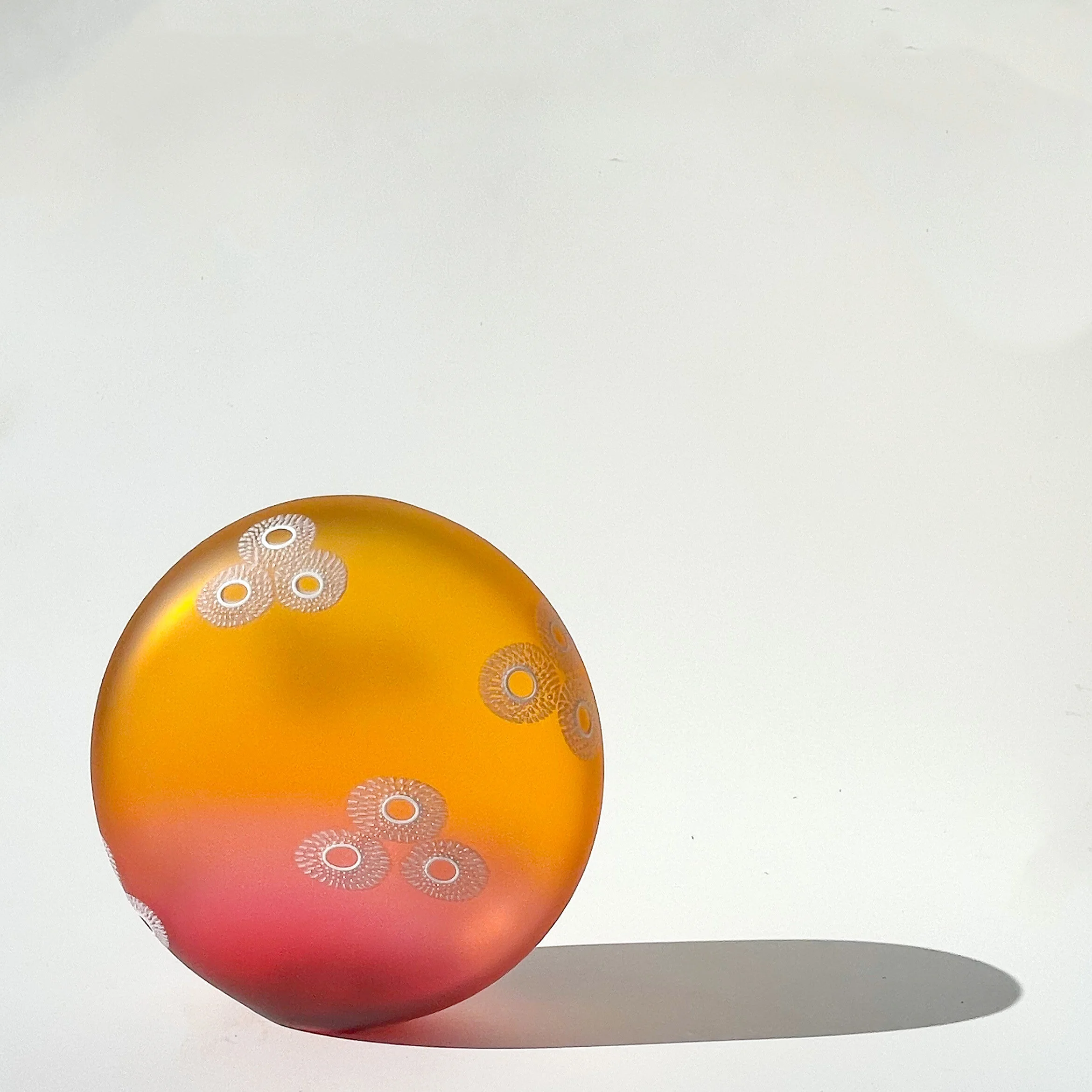 8028ED8F-3326-4579-8864-C15BCB5E01D9