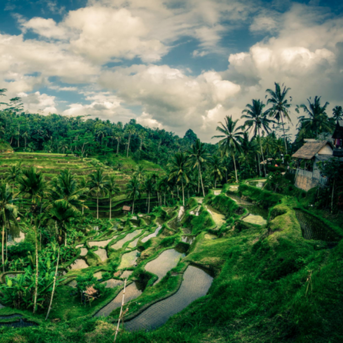 BALI RETREAT | August 25-Sept 2, 2018