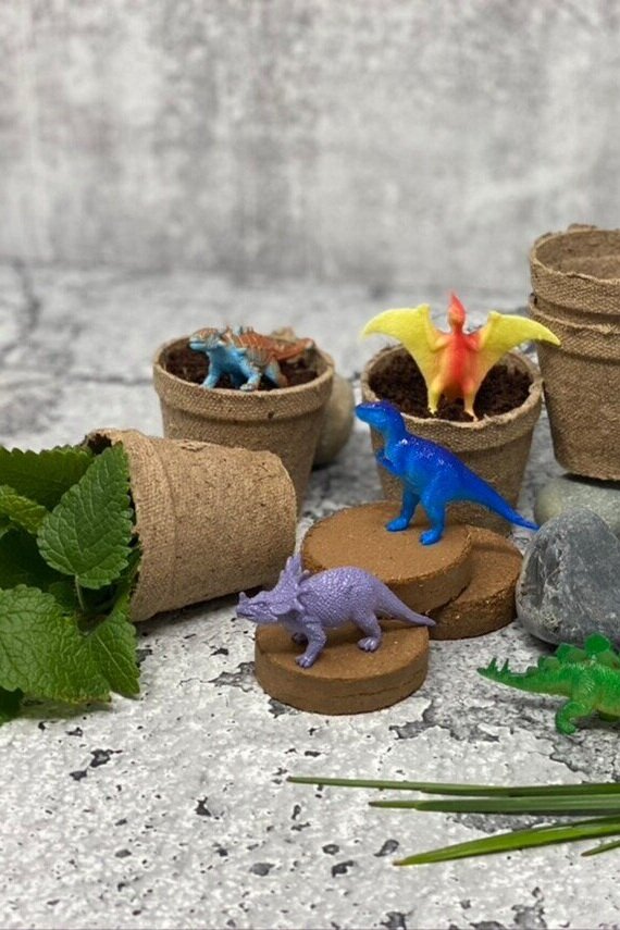 Sustainably Chic | Sustainable Fashion & Lifestyle Blog | Best Sustainable Gifts for Kids | Dinosaur Herb Garden from Etsy.jpg