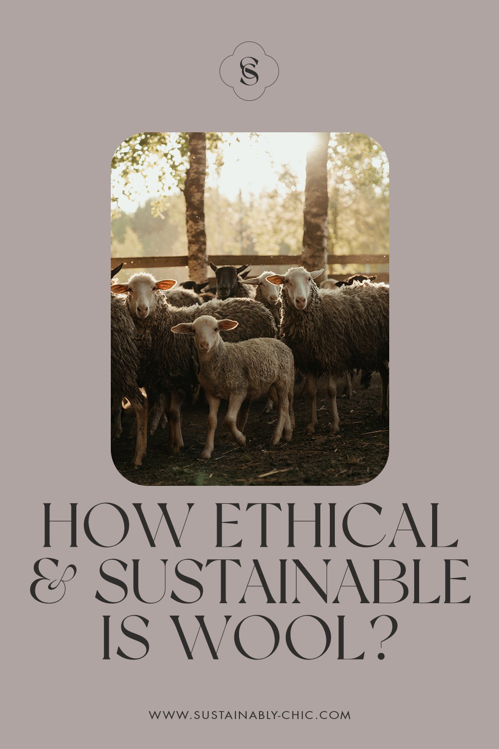 What is Ethical Wool and Does It Really Exist?