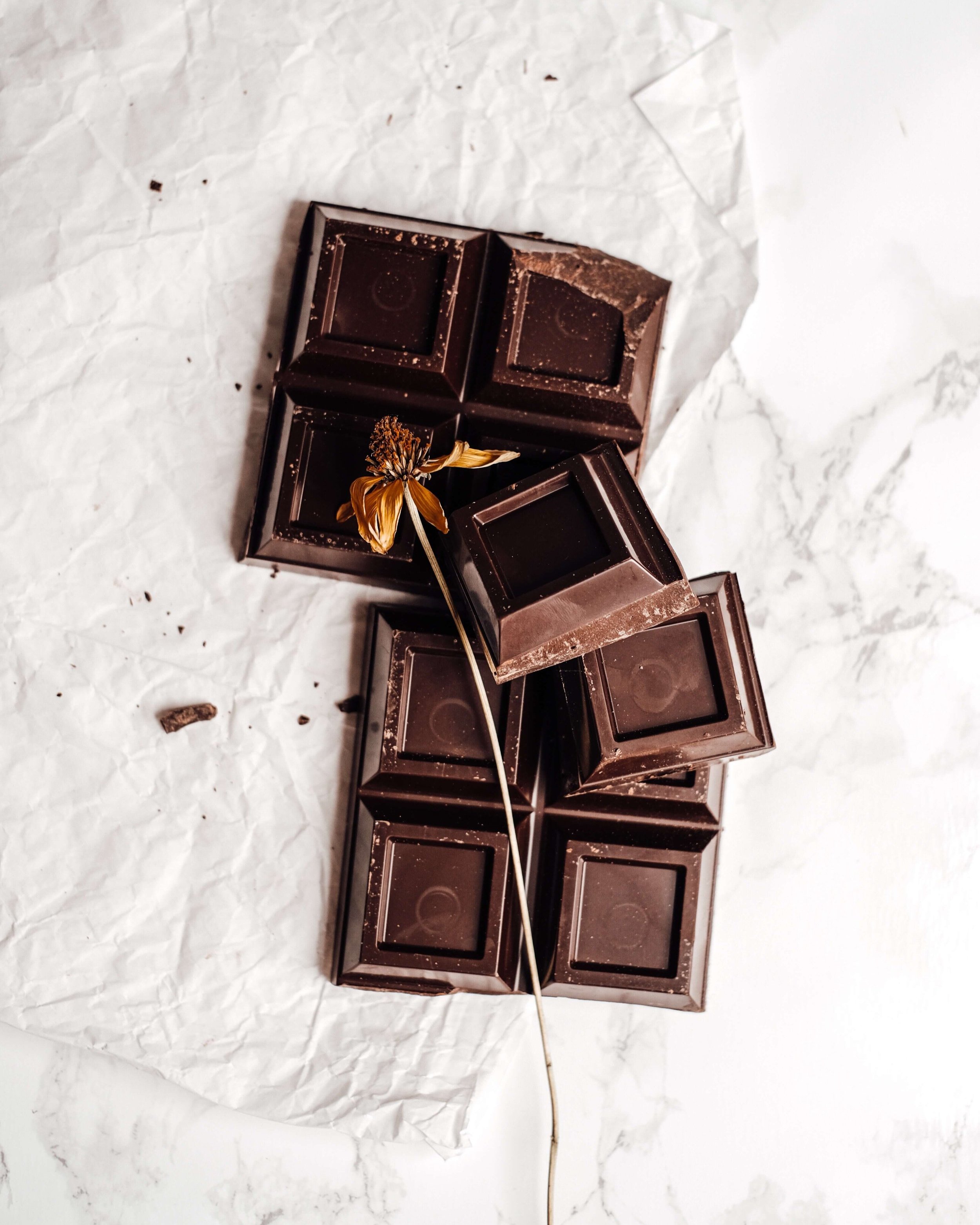 15 Fair Trade Chocolate Brands That Are as Tasty as They Are Ethical —  Sustainably Chic