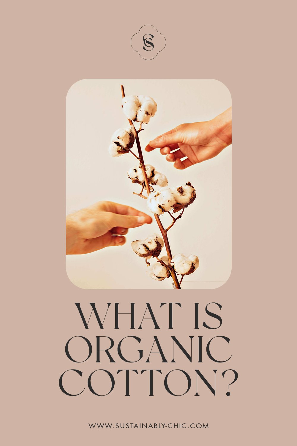 What's the Fuss About Organic Cotton? — Sustainably Chic