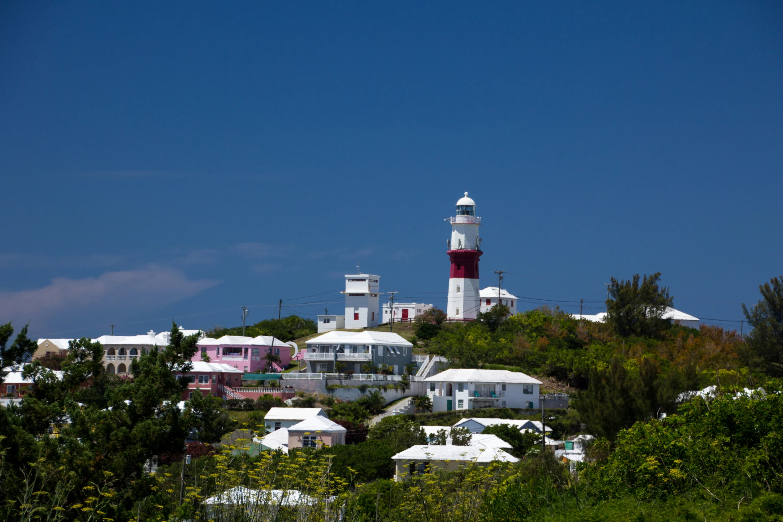 CelebritySummit303.jpg