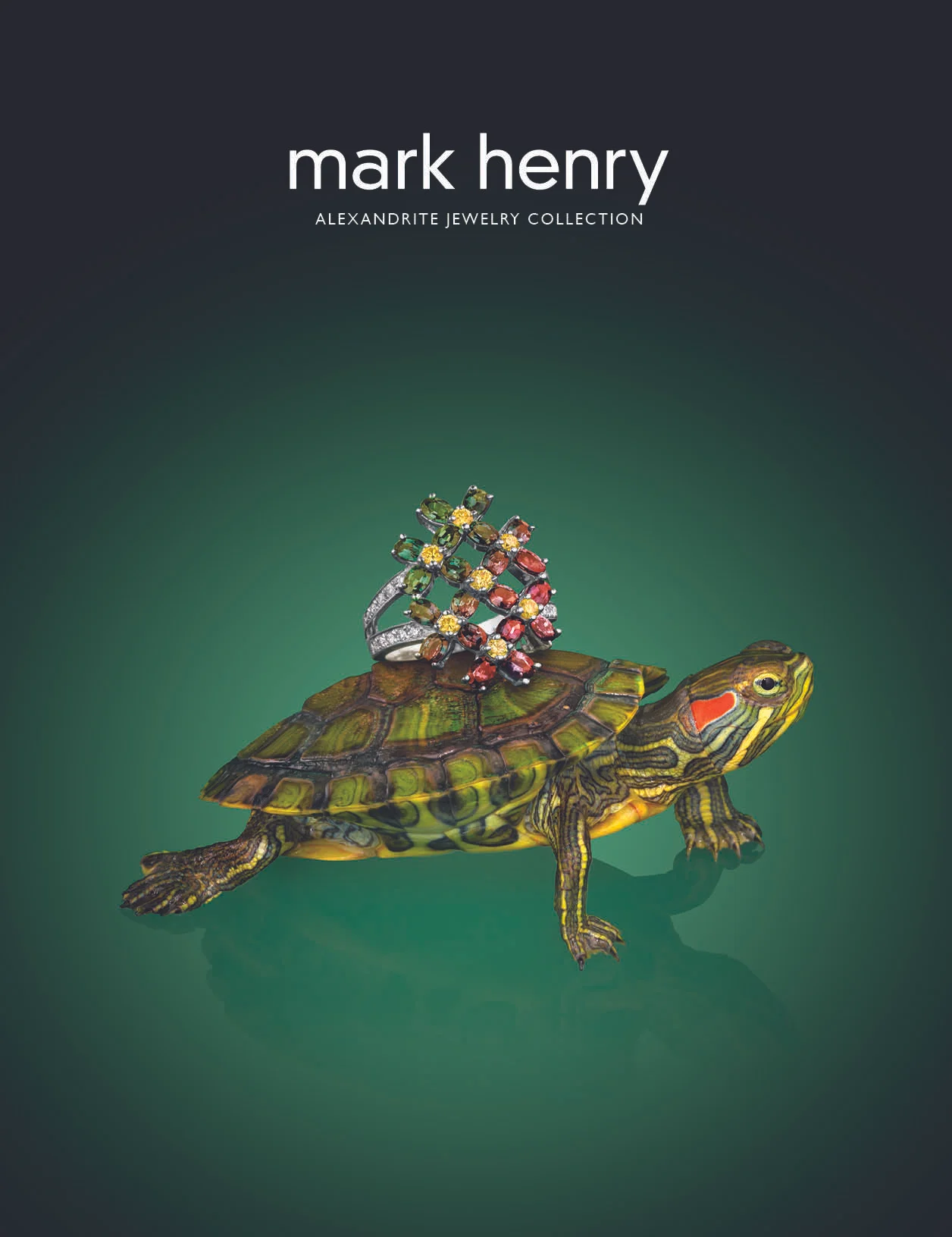 MH in template6.jpg