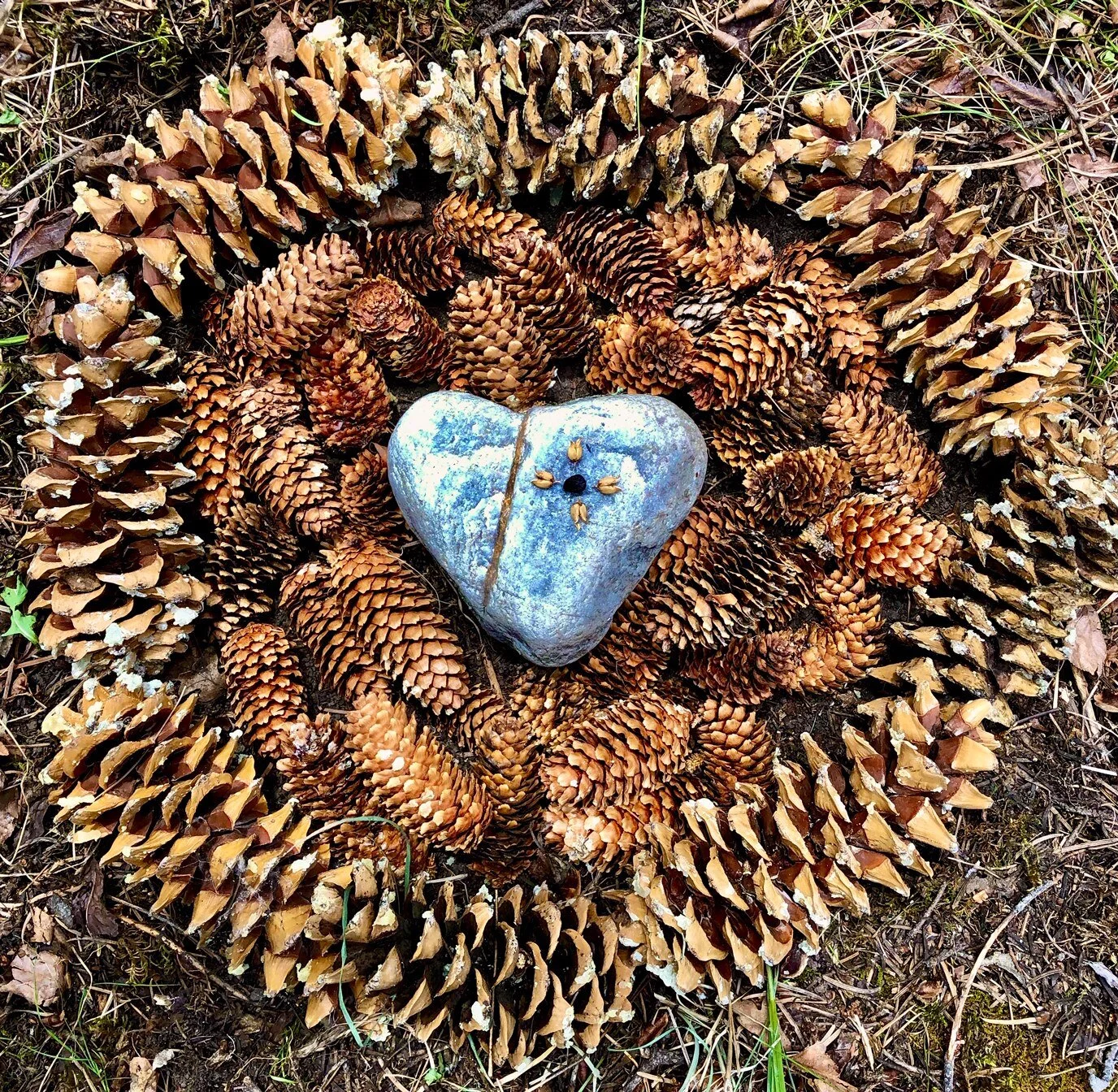 The Missing Peace Summer Sale! Join Our Storytelling Circles & Workshops.