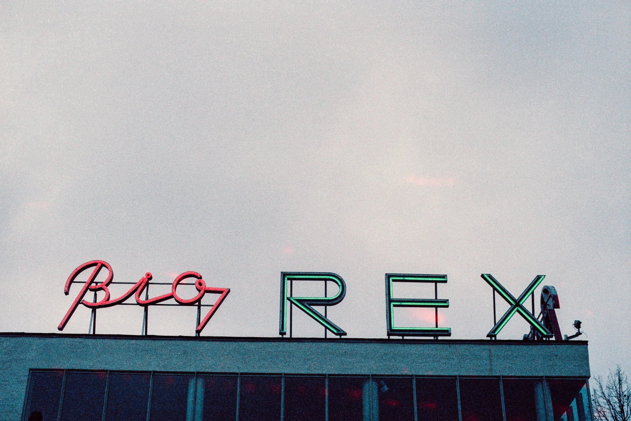 top_filmscan_CS50_roll_260_shot_05-positive.jpg