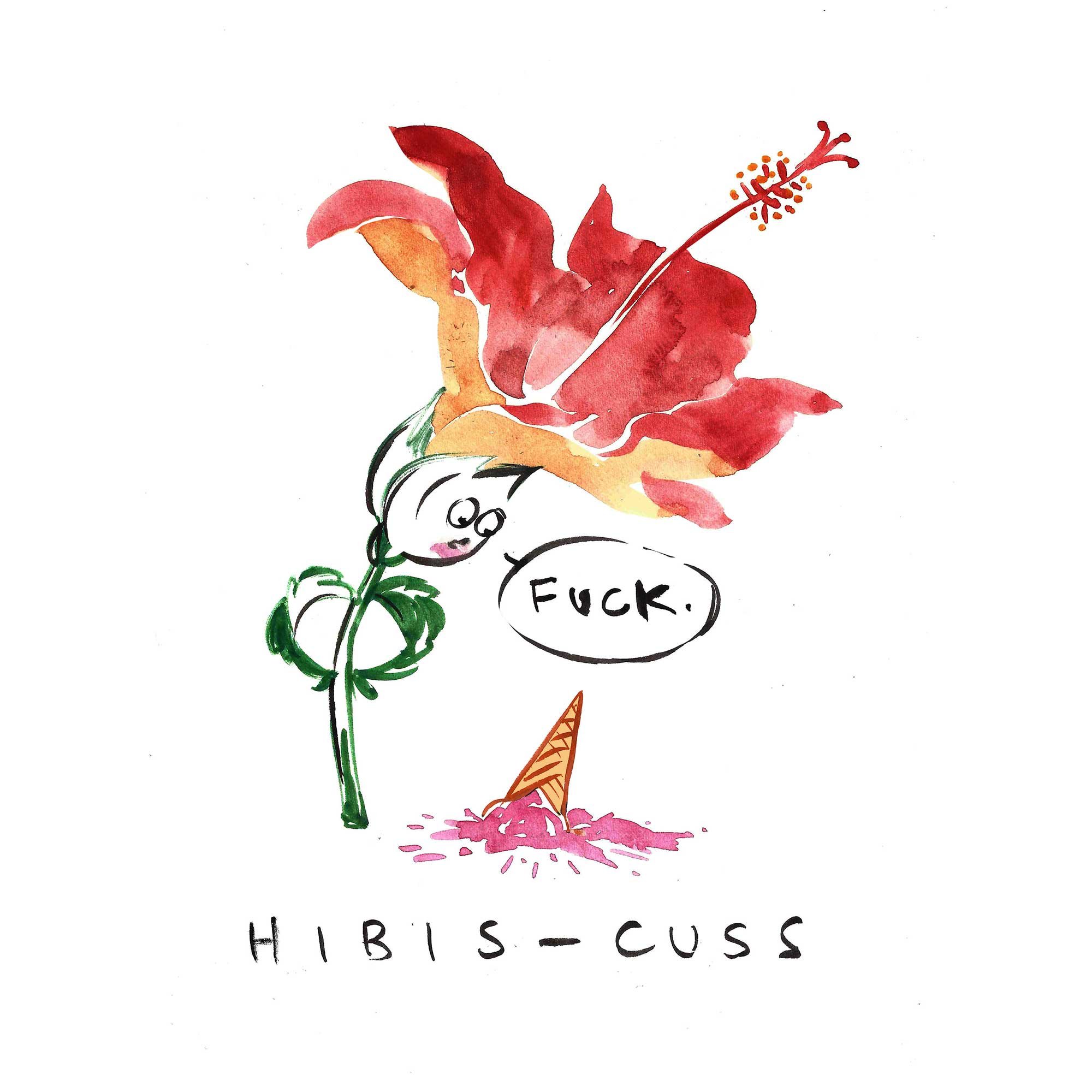 hibis-cuss.jpg