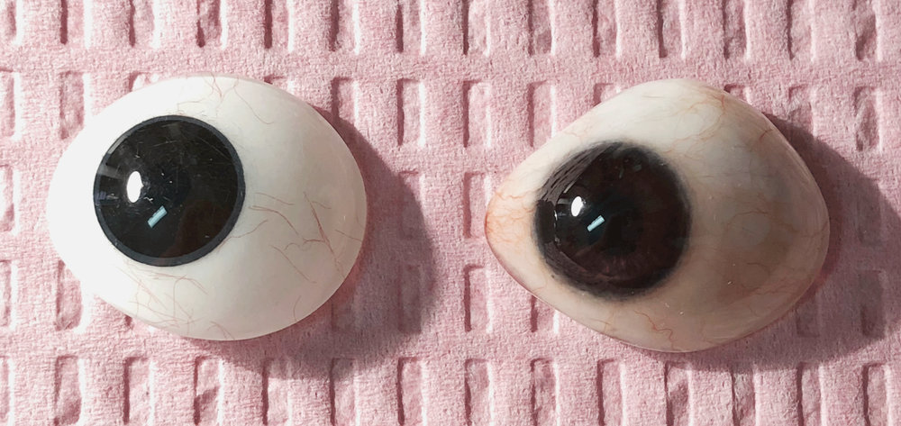  A side by side comparison of the stock eye vs. the finished painted prosthesis. 