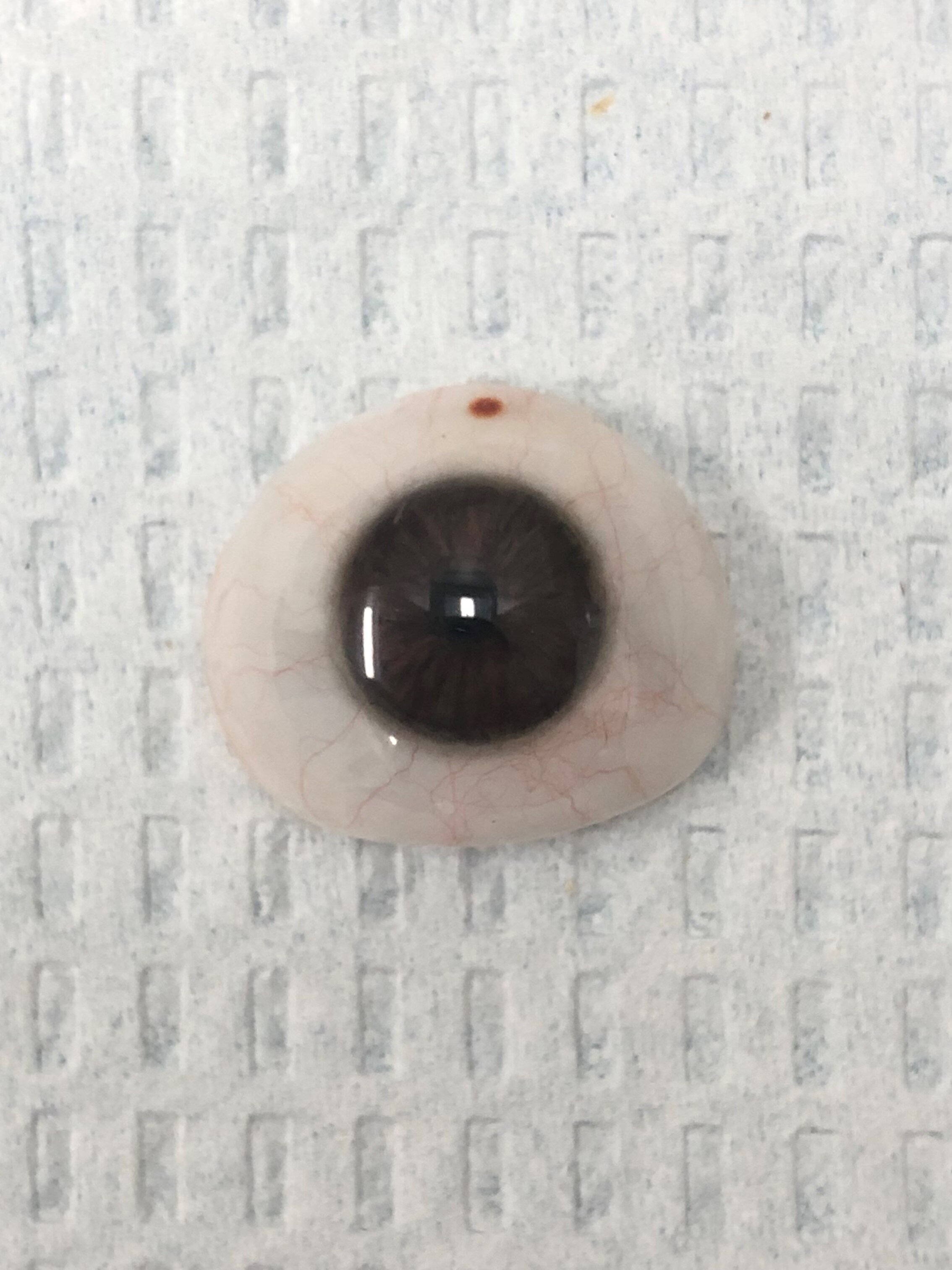 Thin Scleral Shell