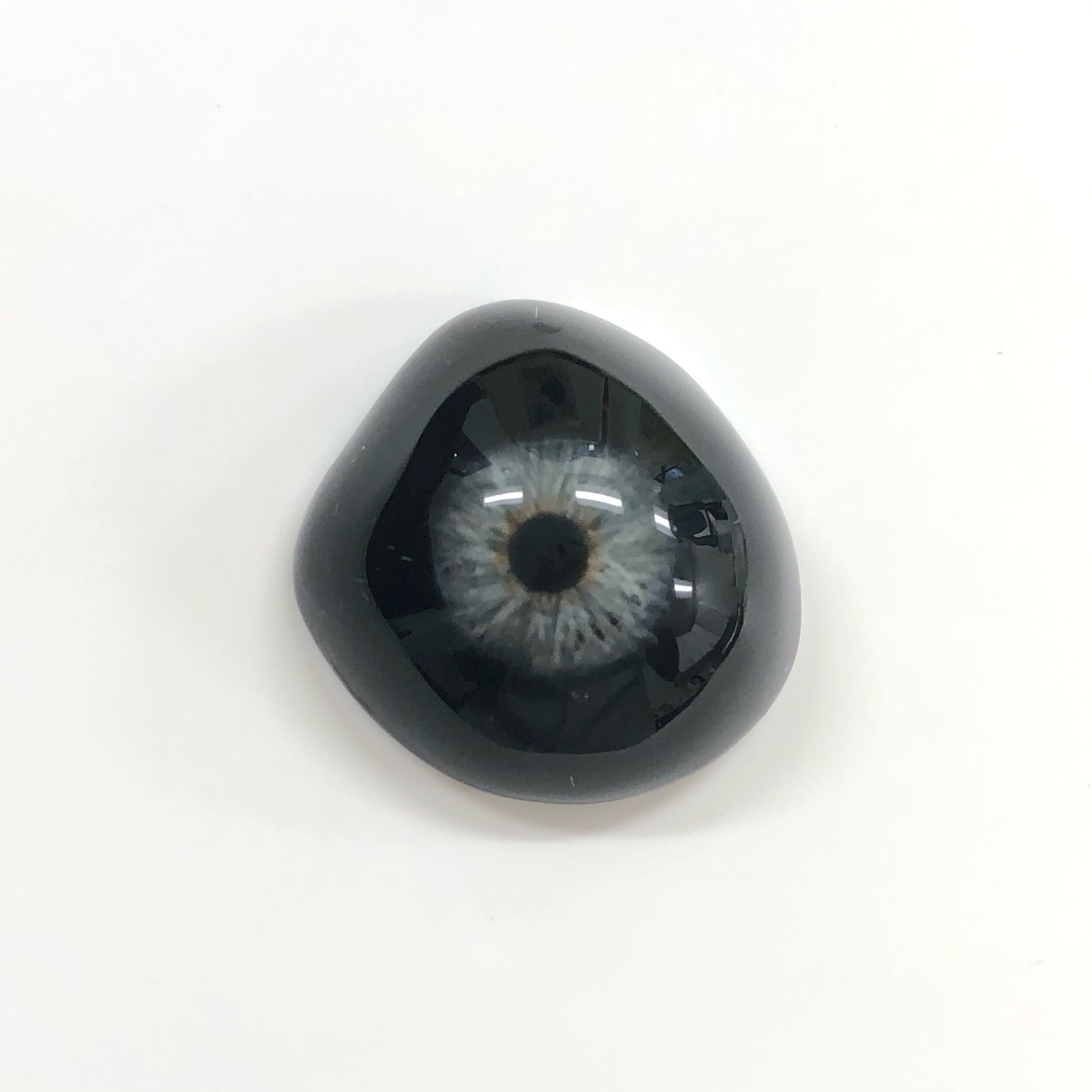 Black Sclera with Realistic Iris