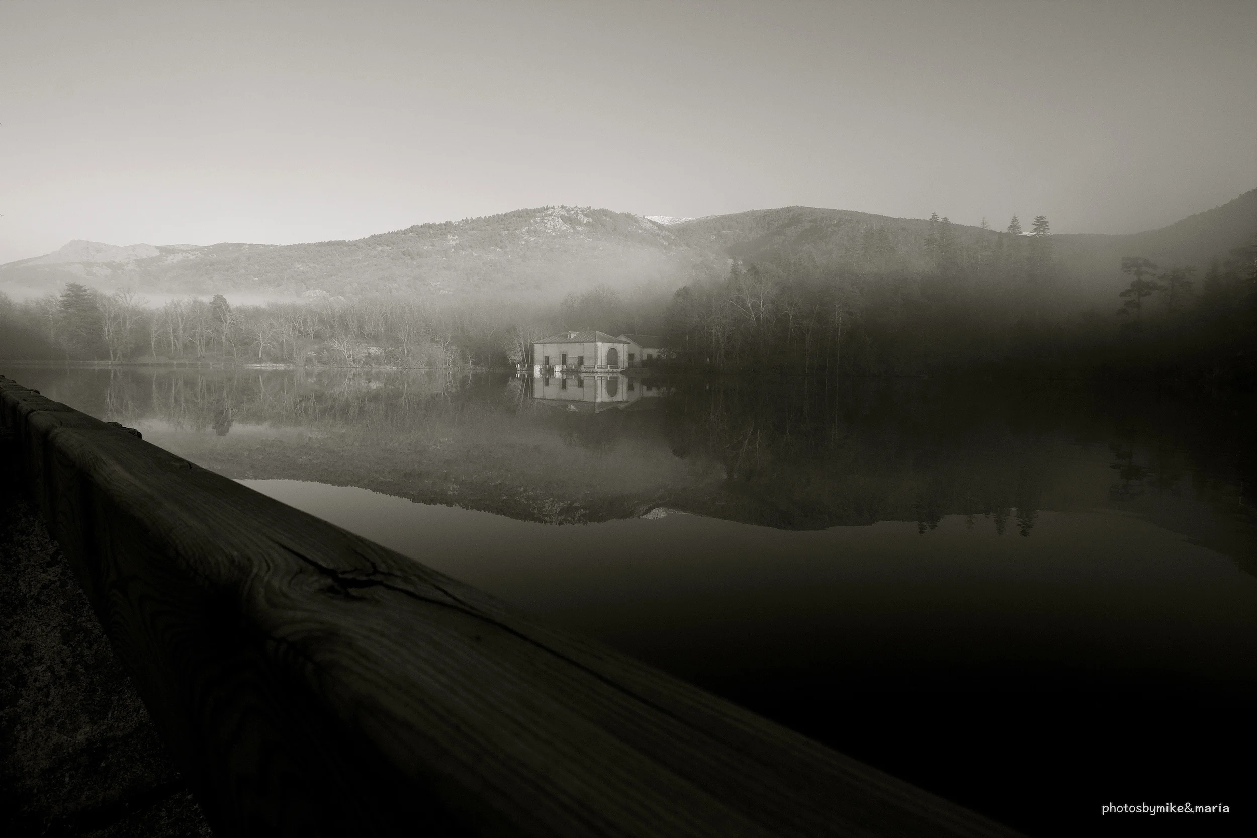 landscape bw copy.jpg