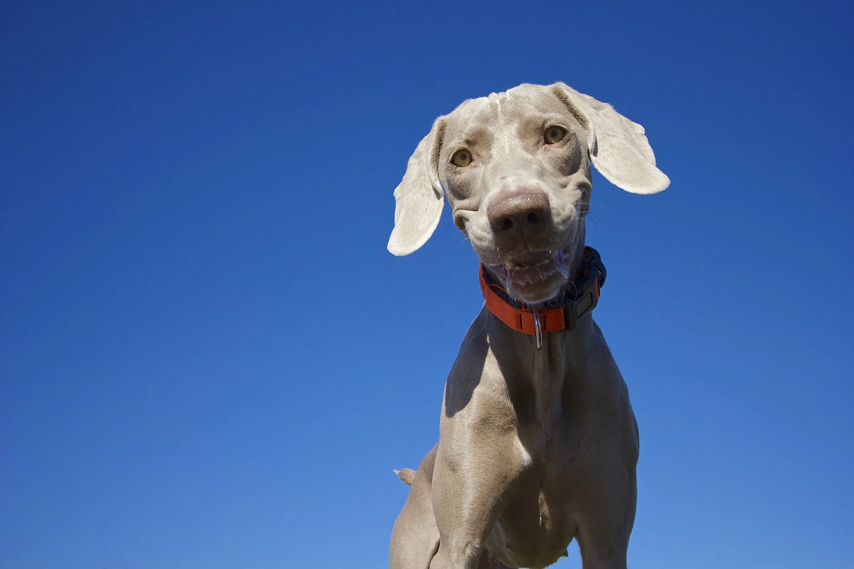 cala smiling copy.jpg