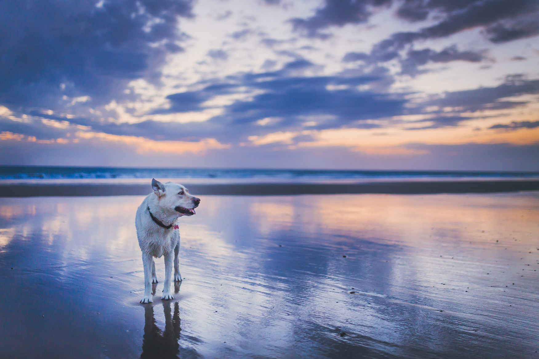 anothertime-lulatbeach copy.jpg