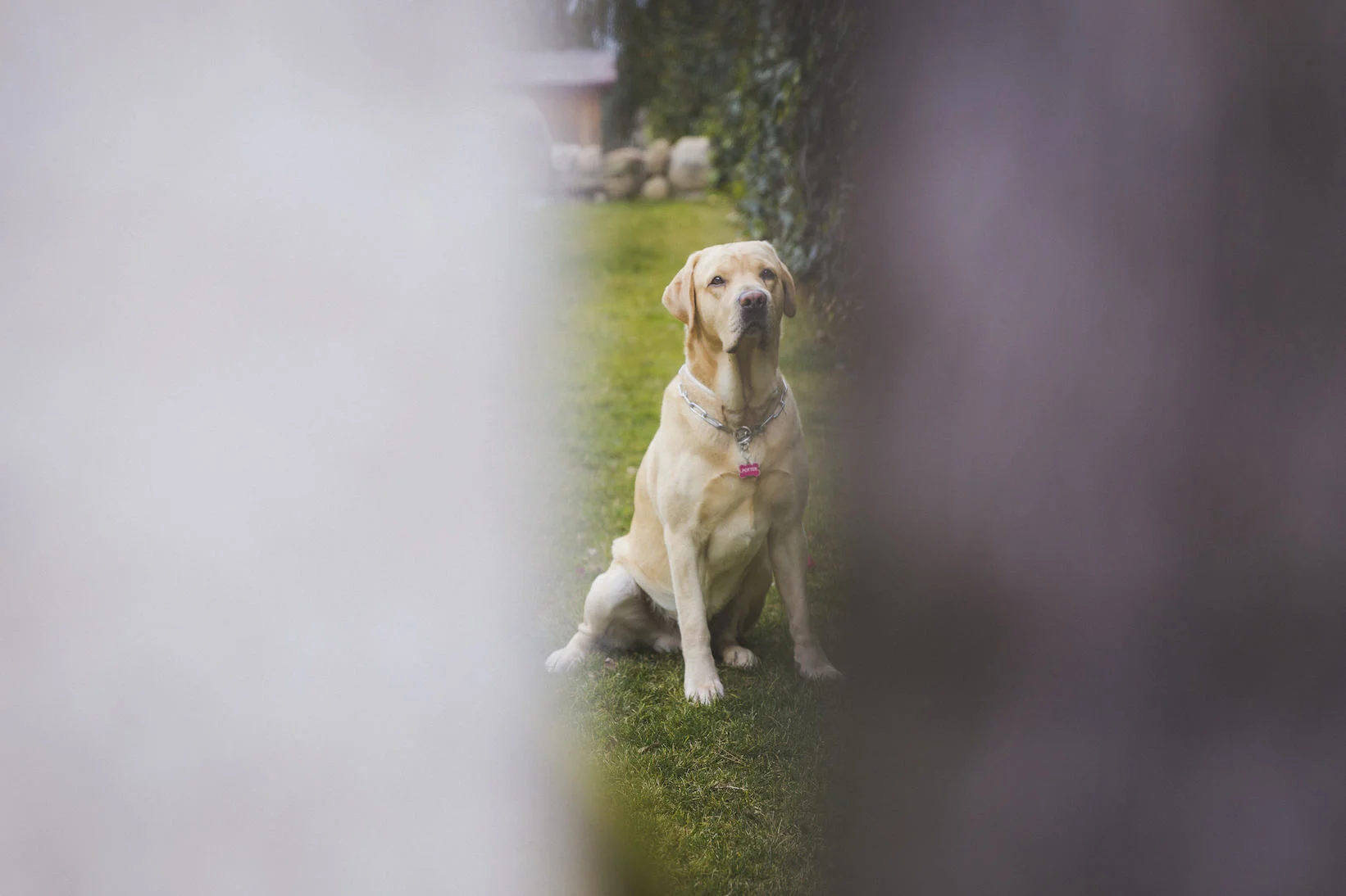 labthroughslit3 copy.jpg