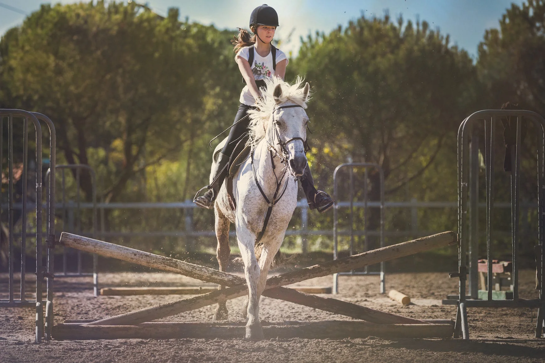 horsejumper copy.jpg